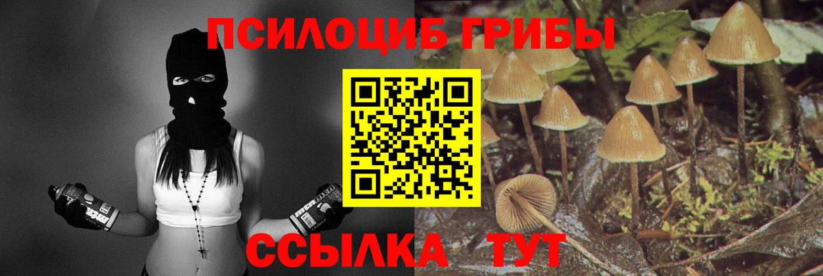 Псилоцибиновые грибы GOLDEN TEACHER  Вход с VPN  Вольск 